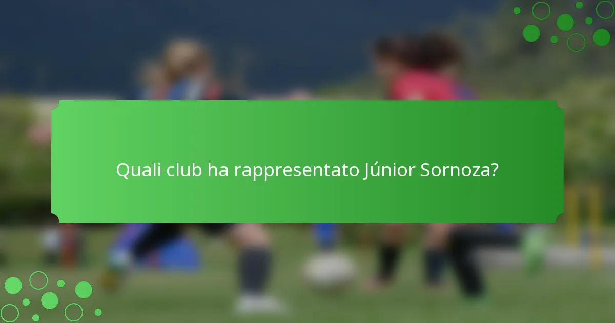 Quali club ha rappresentato Júnior Sornoza?